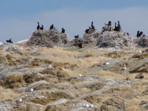 Ecological Reserves Ecological Reserves