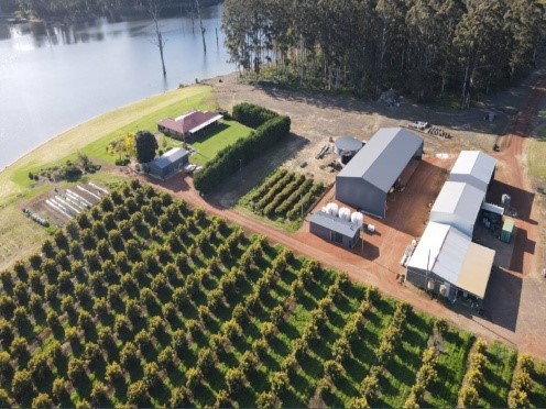 Large-Scale Farms Large-Scale Farms